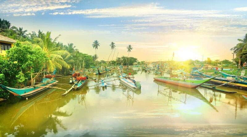 Negombo City Highlight & Local Food Tasting All Include Tour - An In-Depth Look at the Tour Experience