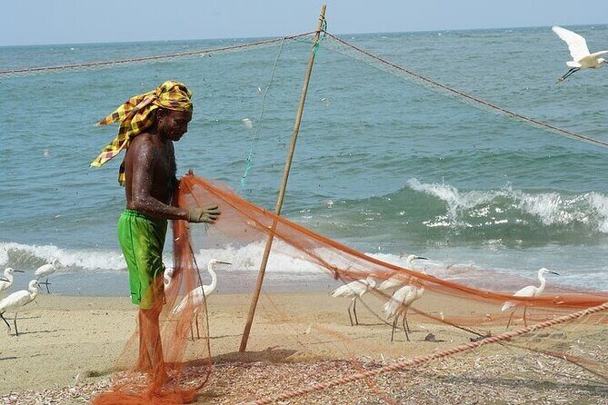 Negombo City Highlights Tour Temples, Churches and Fish Markets - A Closer Look at the Negombo City Highlights Tour