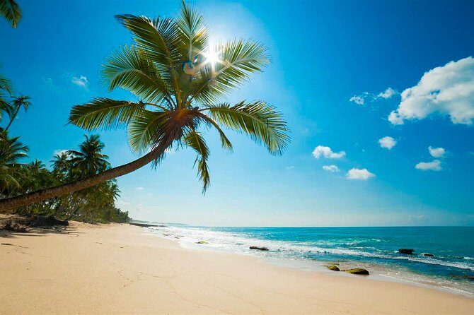 Negombo City Tour - Key Points