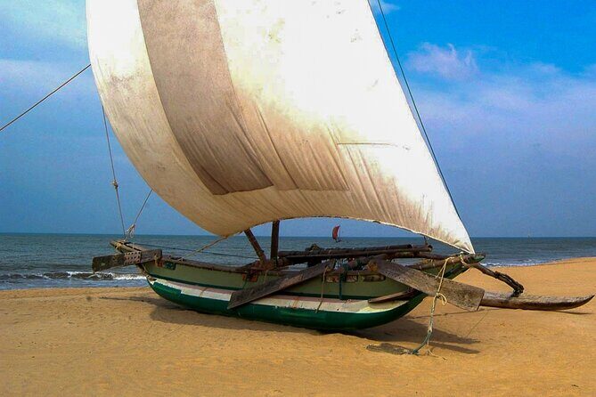 Negombo City Tour - Final Thoughts: Is It Worth It?