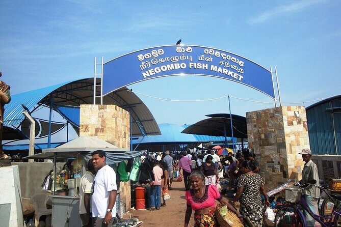 Negombo City Tour by TUK TUK with Rome - Practical Details and What You Should Know