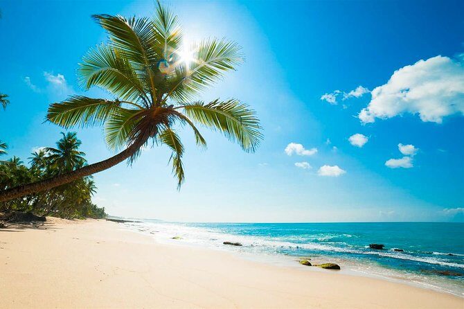 Negombo City Tour from Colombo - A Detailed Look at the Negombo City Tour Experience