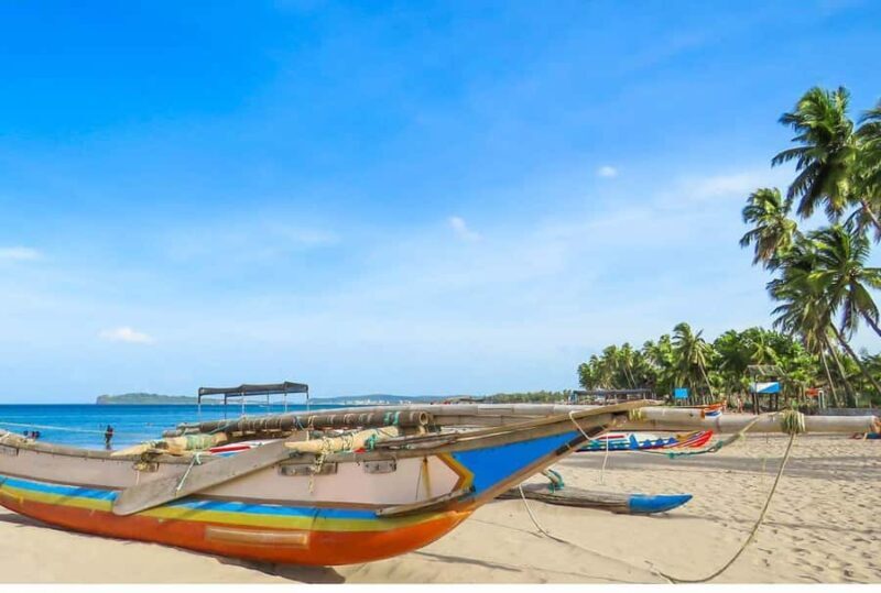 Negombo/Colombo:Private Galle Dutch Fort & Madu River Safari - Who Would Love This Tour?