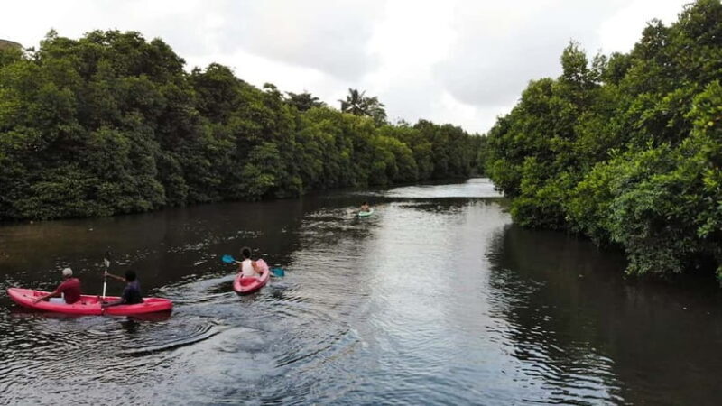 Negombo: Guided Kayaking Tour in the Lagoon - Practical Tips for Your Kayaking Trip