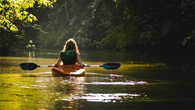 Negombo: Kayaking in the Lagoon - Who Is This Tour Best For?