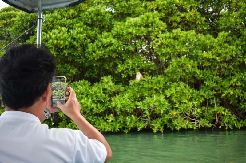 Negombo: Lagoon Boat Tour with hotel transfers & fruit snak - Key Points