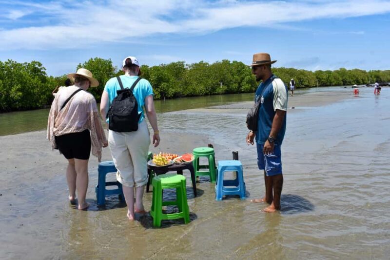 Negombo: Lagoon Boat Tour with hotel transfers & fruit snak - Additional Insights from Reviews