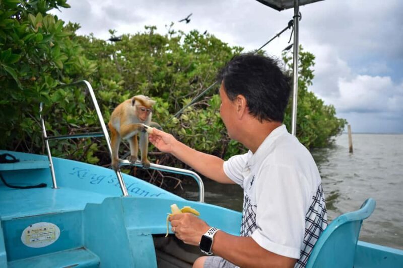 Negombo: Lagoon Boat Tour with hotel transfers & fruit snak - Who Should Consider This Tour?