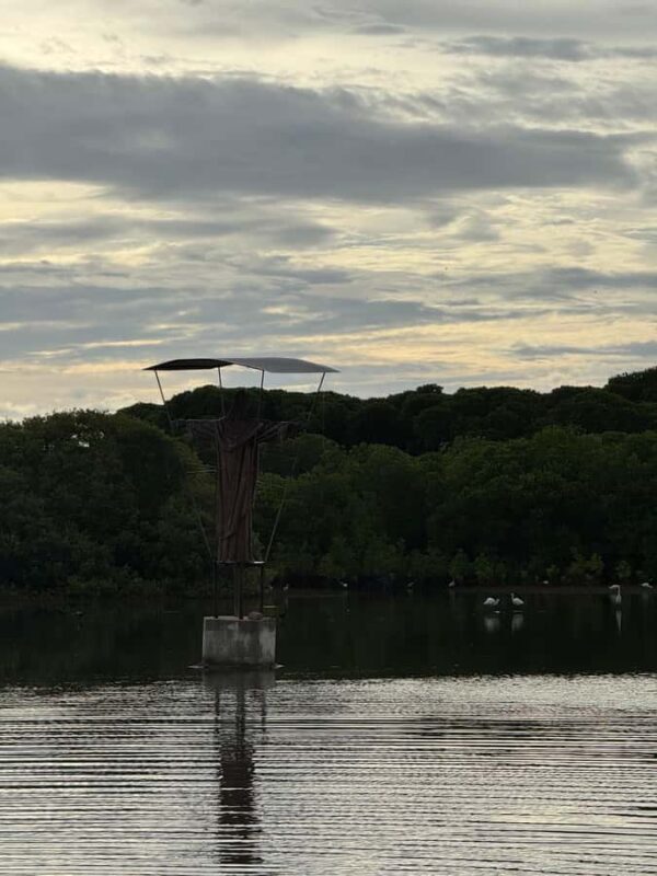 Negombo Lagoon & Dutch Canal Sunset Boat Tour - Transportation & Practical Details