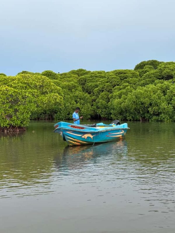 Negombo Lagoon & Dutch Canal Sunset Boat Tour - Authentic Insights from Reviews