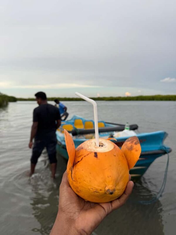Negombo Lagoon & Dutch Canal Sunset Boat Tour - The Sum Up: Is This Tour Worth It?