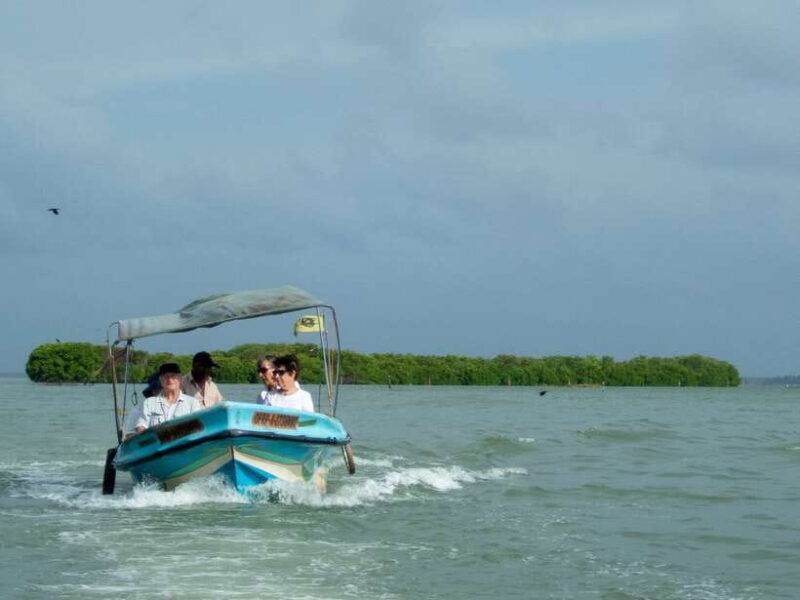 negombo-lagoon-mangrove-boat-excursion