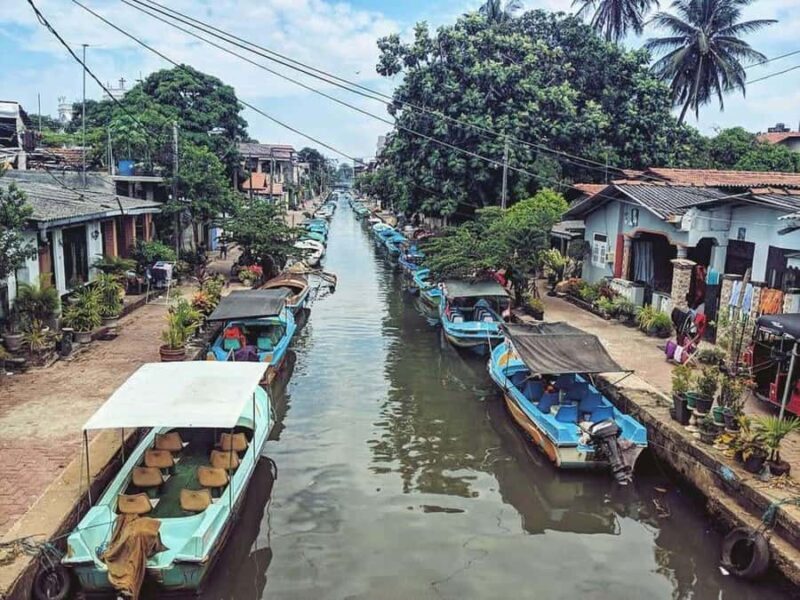 Negombo Lagoon & Muthurajawela Boat Tour - An In-Depth Look at the Tour Experience