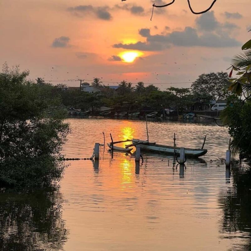 Negombo Lagoon & Muthurajawela Boat Tour - Final Thoughts