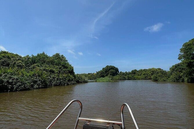 Negombo Lagoon & Muthurjawela Bird Watching Boat Tour - Key Points