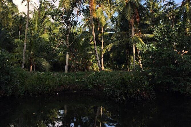 Negombo Lagoon & Muthurjawela Bird Watching Boat Tour - Meeting Points and Practical Details