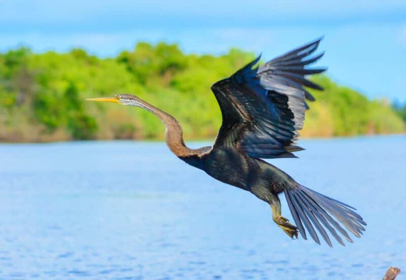 Negombo private city-Lagoon: Sunrise or Sunset Kayaking Tour - Key Points