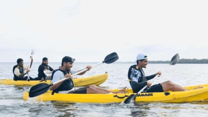 Negombo private city-Lagoon: Sunrise or Sunset Kayaking Tour - What Reviewers Say