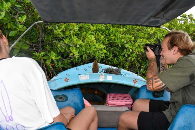 Negombo: Sunset lagoon boat tour with hotel transfers - Who Will Love This Tour?