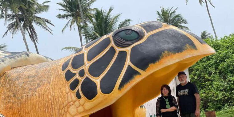 negombo-turtle-hatchery-river-safari-moon-stone-galle