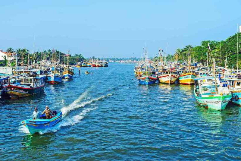 negombodutch-canal-lagoon-muthurajawela-private-boat-tour