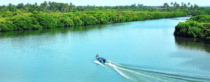 negombodutch-canal-lagoon-muthurajawela-private-boat-tour