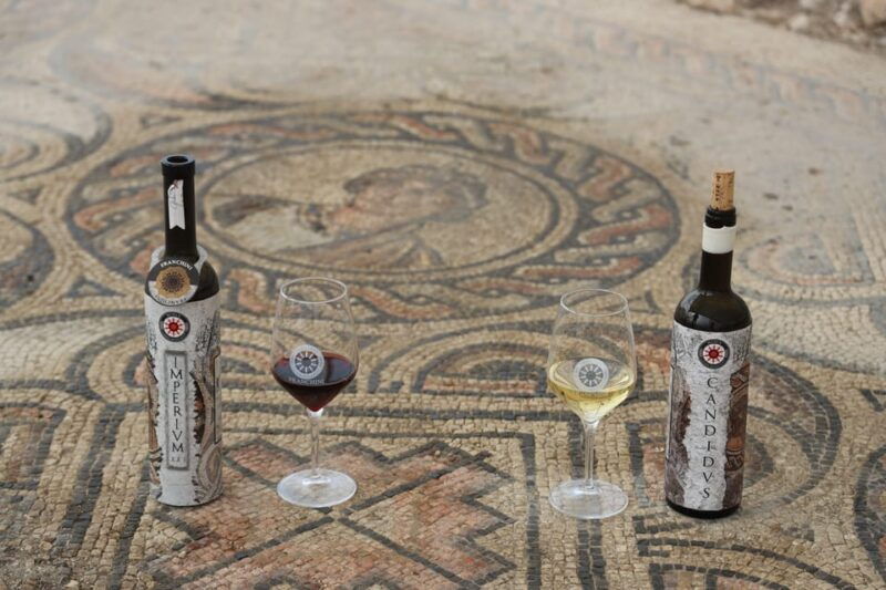 negrar-roman-villa-mosaics-tour-valpolicella-wine-tasting