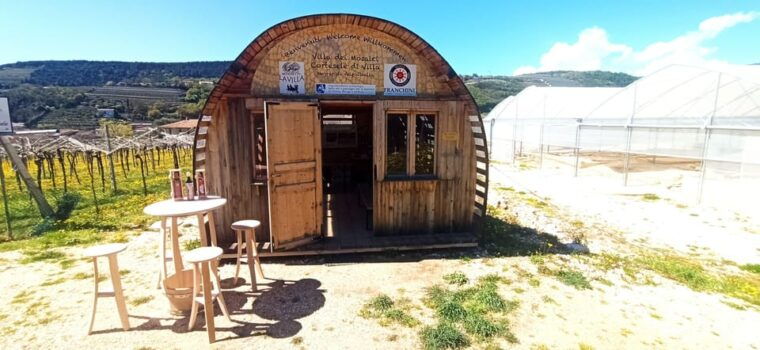 negrar-roman-villa-mosaics-tour-valpolicella-wine-tasting