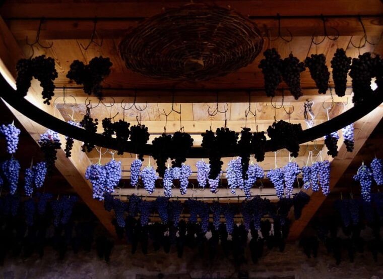 negrar-roman-villa-mosaics-tour-valpolicella-wine-tasting