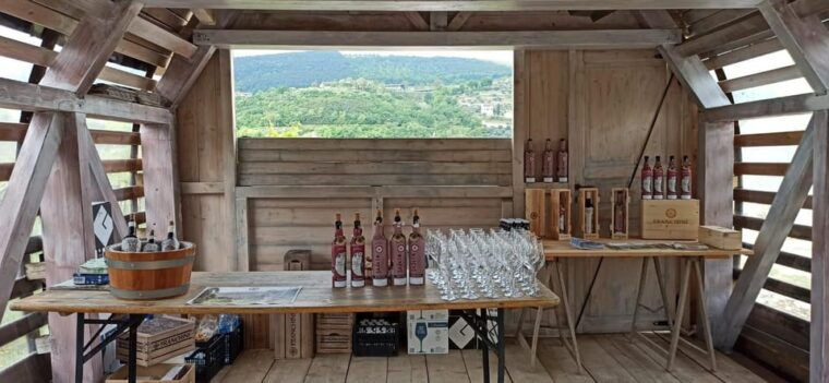 negrar-roman-villa-mosaics-tour-valpolicella-wine-tasting