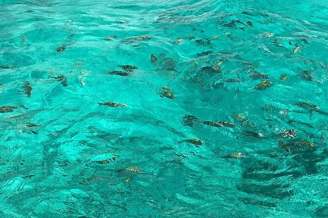 negril-and-ricks-cafe-sunset-tour-with-boat-ride-and-snorkeling