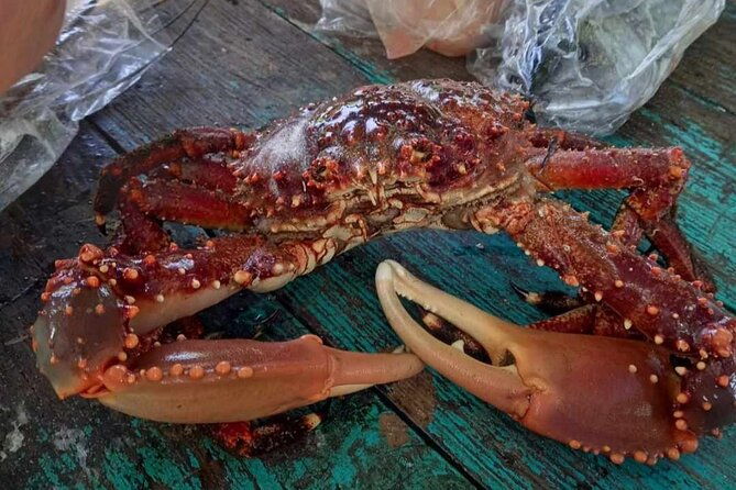negril-lobster-lunch-on-booby-cay-snorkeling-to-a-sunken-cannon