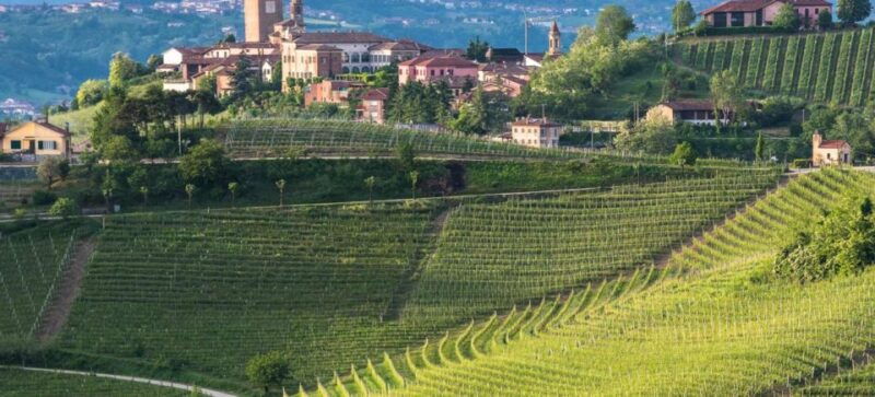 neive-cycling-tour-from-neive-to-barbaresco