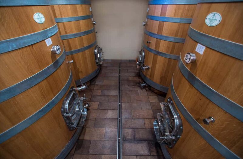 NEIVE: WINERY TOUR AND TASTING OF 5 WINES - Discovering Piedmont through a Winery Tour in Neive