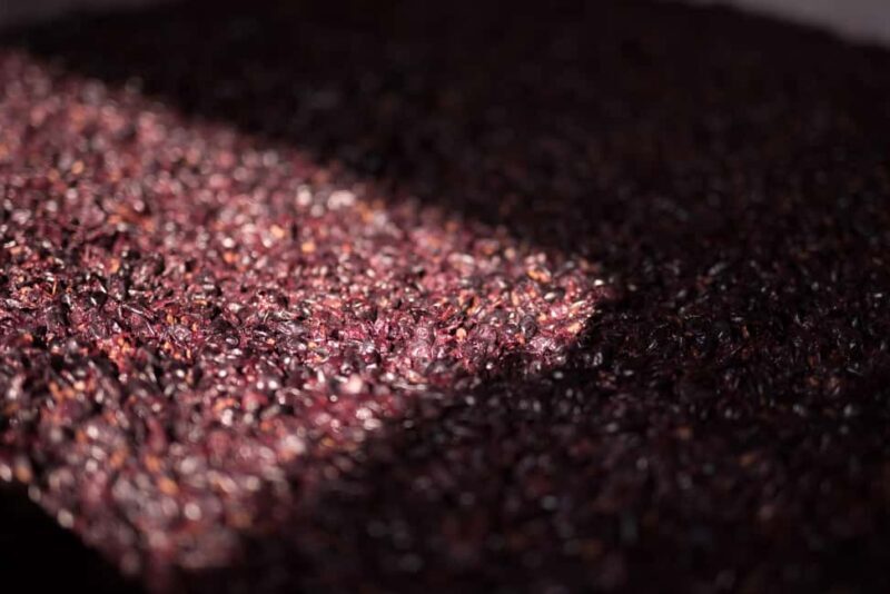 NEIVE: WINERY TOUR AND TASTING OF 5 WINES - FAQ