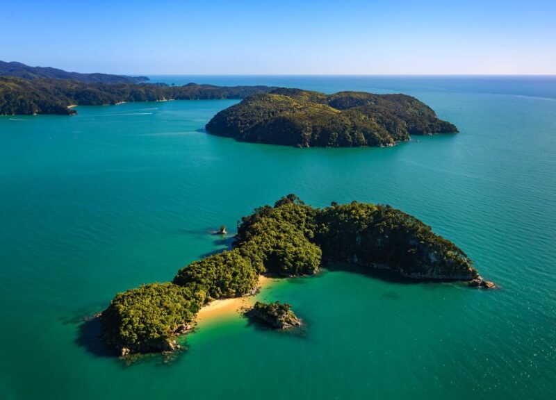 Nelson: Abel Tasman Cruise-Fly Day Tour - Practical Tips for Travelers