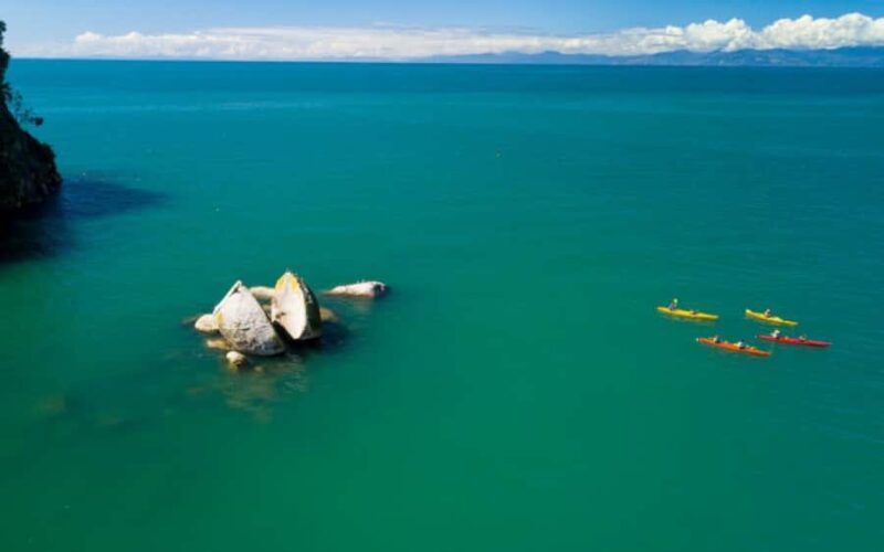 Nelson: Abel Tasman Kayaking & Great Taste Trail Bike Tour - Authentic Traveler Insights