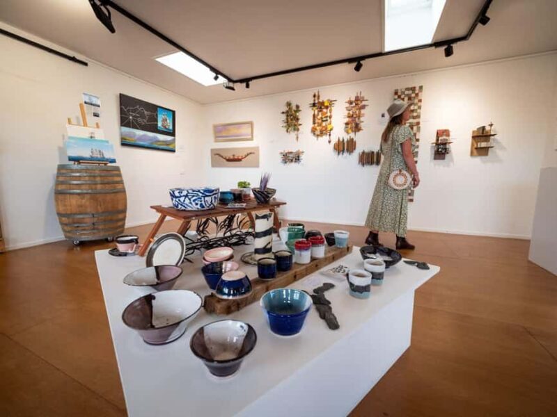 Nelson: Art Gallery Tour with Lunch - Practicalities and Value