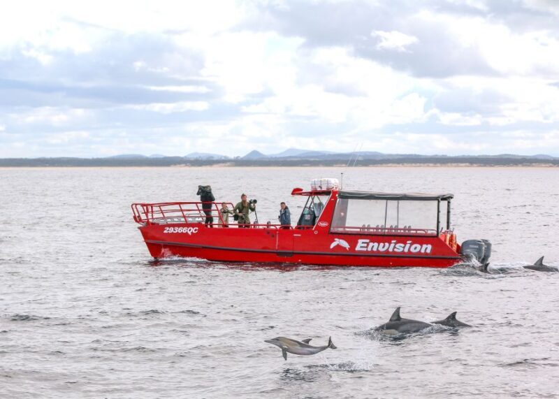 Nelson Bay: 1hr Dolphin Watch Express - The Itinerary and What You Can Expect