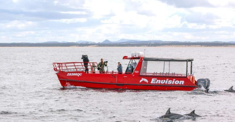 Nelson Bay: 1hr Dolphin Watch Express - Practical Details and Tips