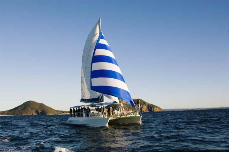 Nelson Bay: Dolphin Watch Cruise and Sail - Value for Money and Practical Details