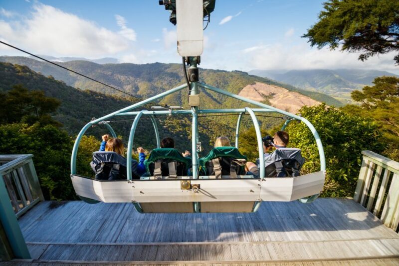 Nelson: Cable Bay Adventure Park Skywire Experience - Key Points
