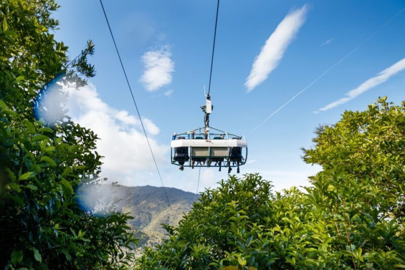 Nelson: Cable Bay Adventure Park Skywire Experience - The Experience’s Value