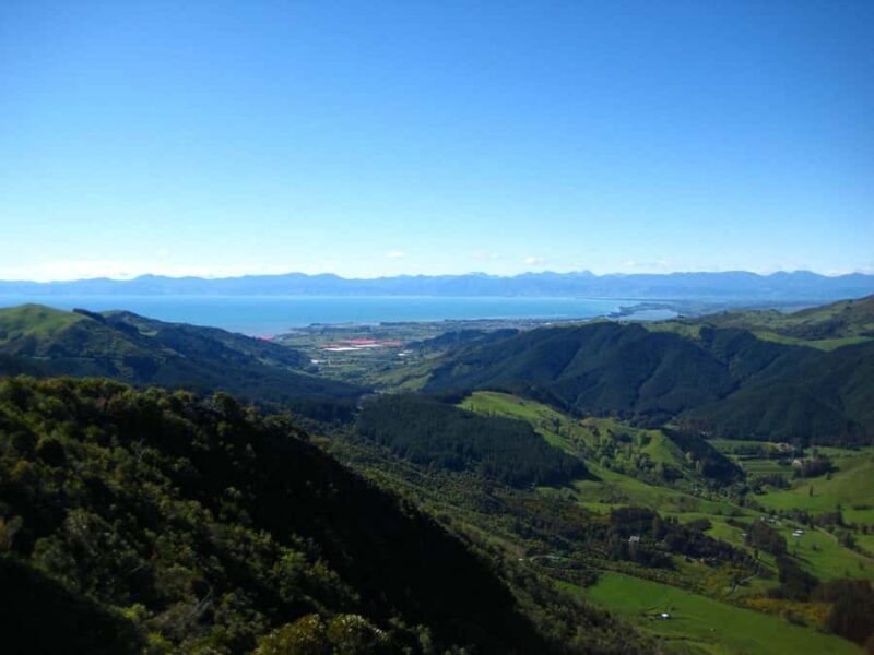 Nelson: Cruise Abel Tasman National Park to Golden Bay Tour - Final Thoughts