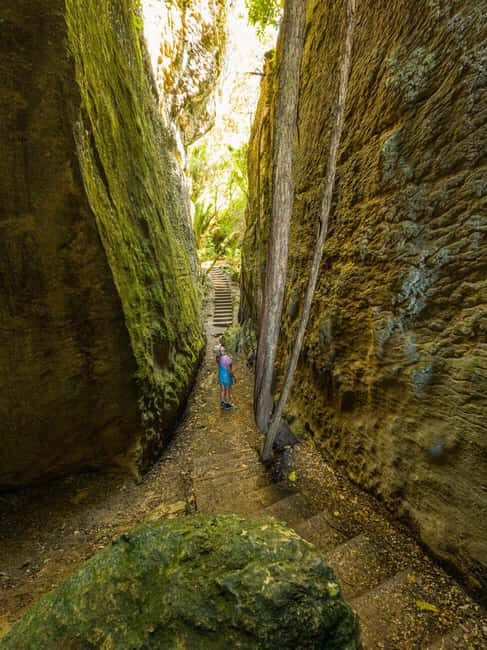 Nelson: Golden Bay in a Day Tour - Key Points