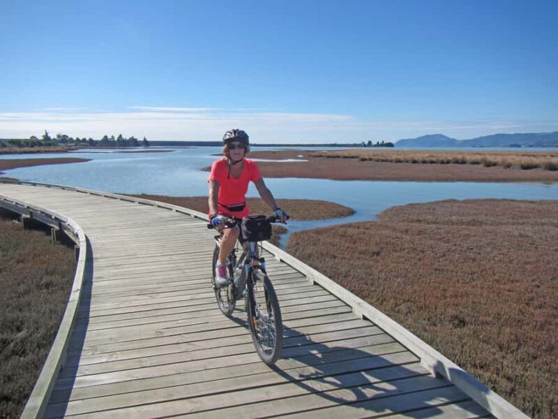 Nelson: Great Taste Trail Coastal Bike Ride to Mapua - Final Thoughts: Is This Tour for You?