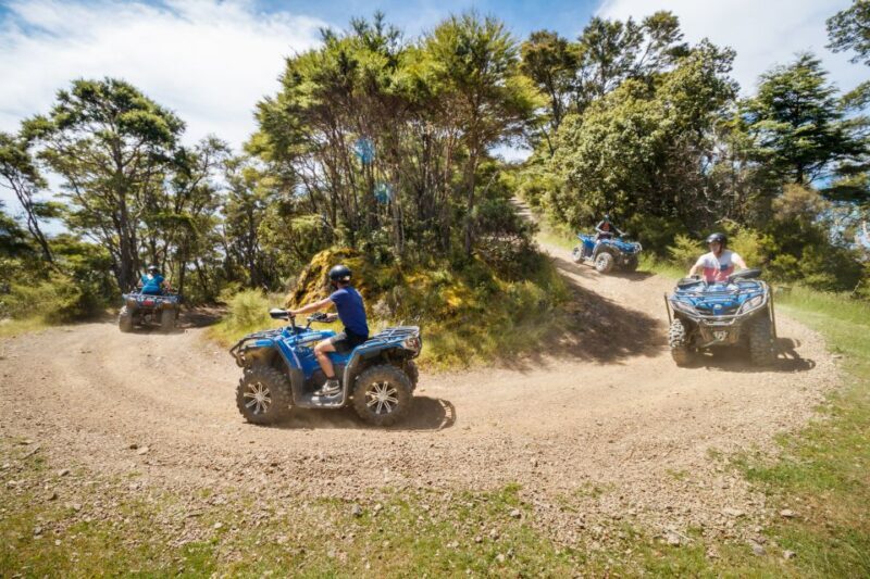 Nelson: Guided Quad Biking Tour Through Forest and Farmland - Key Points: