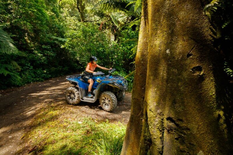 Nelson: Guided Quad Biking Tour Through Forest and Farmland - Exploring the Tour Itinerary and Highlights