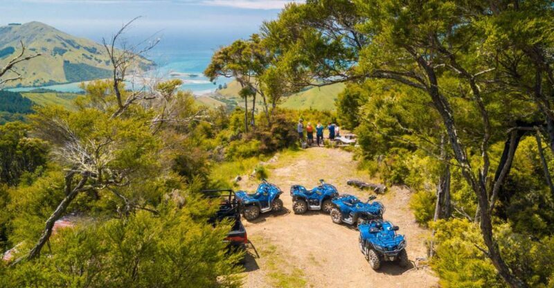 Nelson: Guided Quad Biking Tour Through Forest and Farmland - The Guides and Overall Service