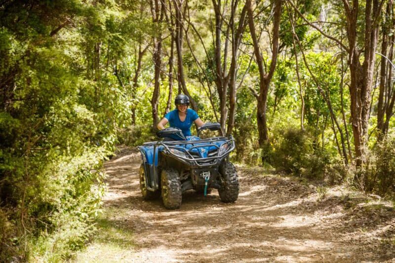 Nelson: Guided Quad Biking Tour Through Forest and Farmland - Who Would Love This Tour?